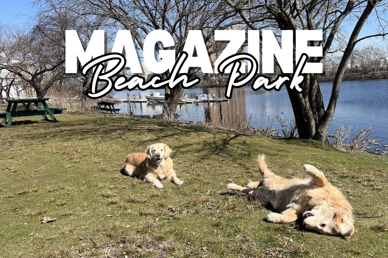 Magazine Beach Park MA