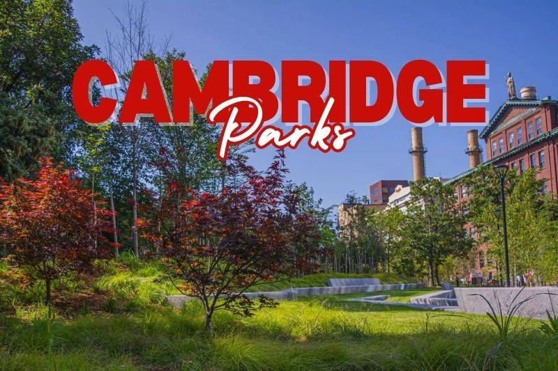 Parks for Families in Cambridge, MA